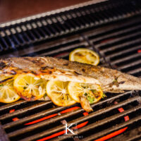 KBJ-2451_©KRISTINABANT2023